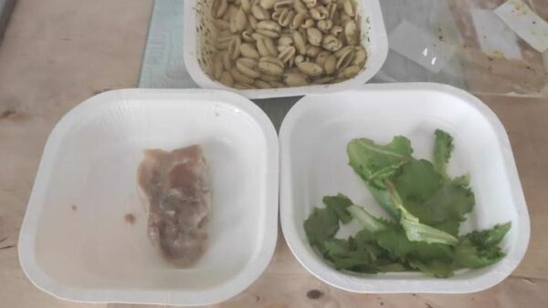 napoli mensa scuola pollo