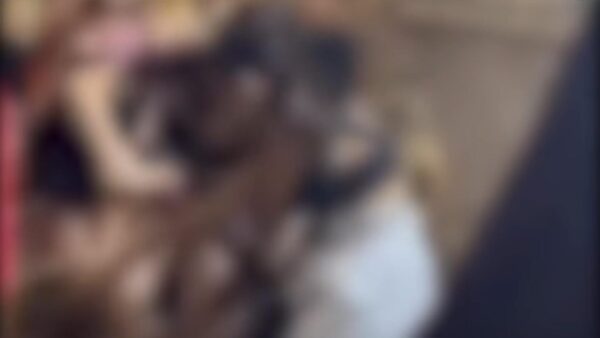 aggressione giovanissime