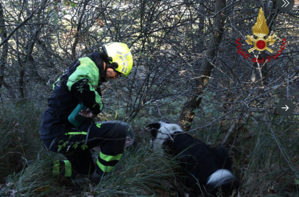 giugliano ucraina dispersa