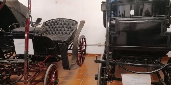 Museo delle carrozze
