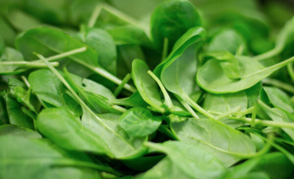 intossicati pozzuoli sequestro verdura