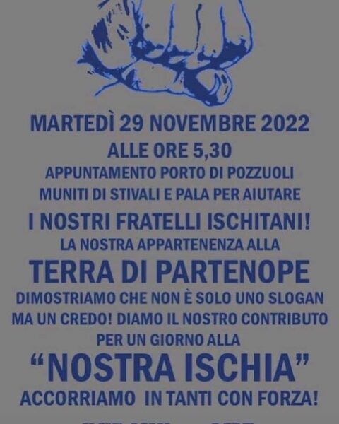 Volantino tifosi del Napoli