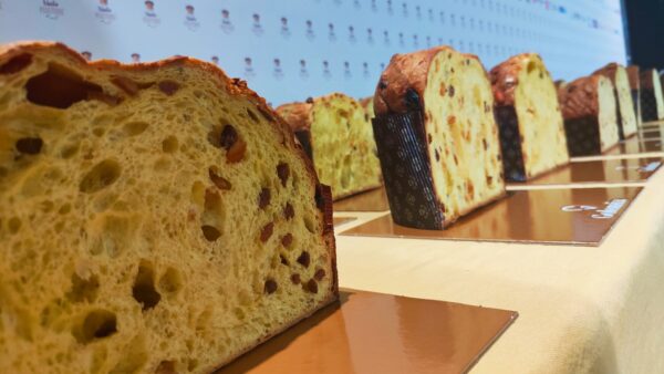 mastro panettone miglior pandoro