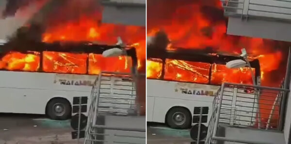 bus fiamme paganese casertana