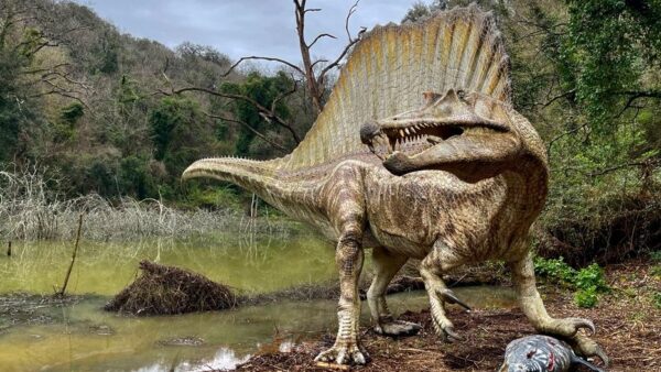 oasi astroni dinosauri