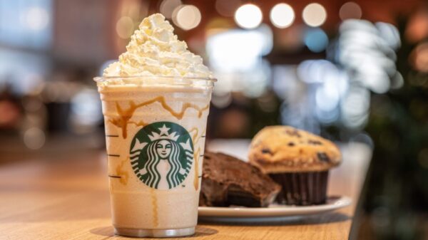 campania strabucks marcianise lavoro