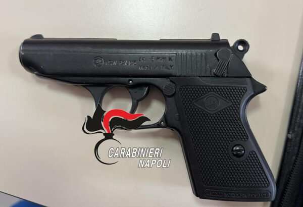 14 anni pistola scuola