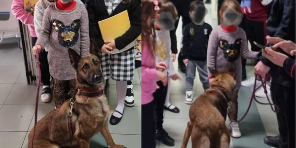 Carabinieri. Cane Luna