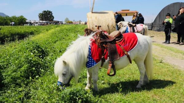 pasquetta pic nic gratis marna