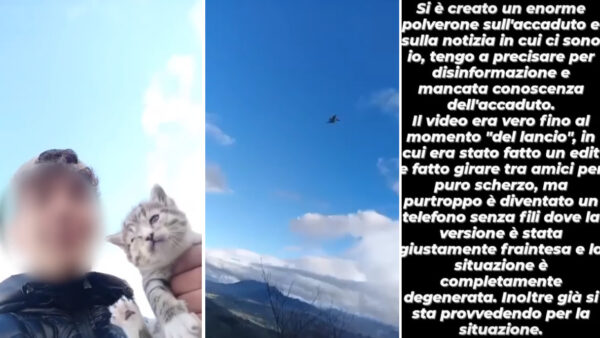 ragazzo lancia gatto montefusco