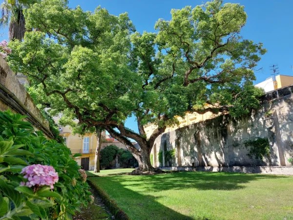 giardino segreto reggia di portici