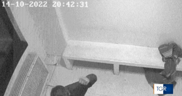 poliziotti verona violenze