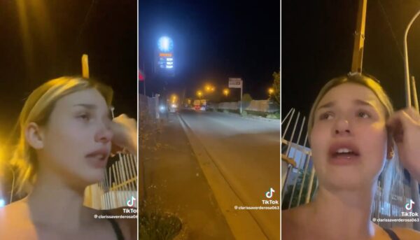 Un cane è stato lanciato da un'auto in corsa e abbandonato a Viale della Resistenza a Calvizzano