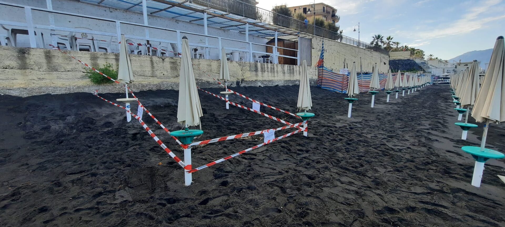 nido tartaruga marina litoranea torre del greco