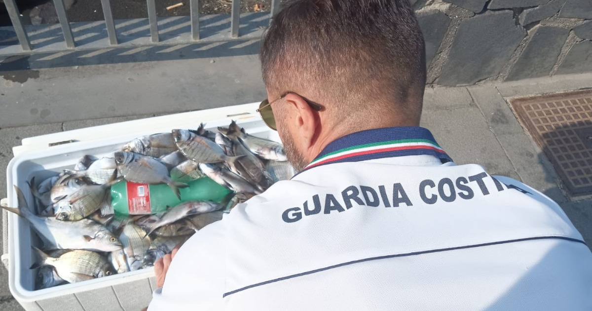 sequestro pesce natale torre greco