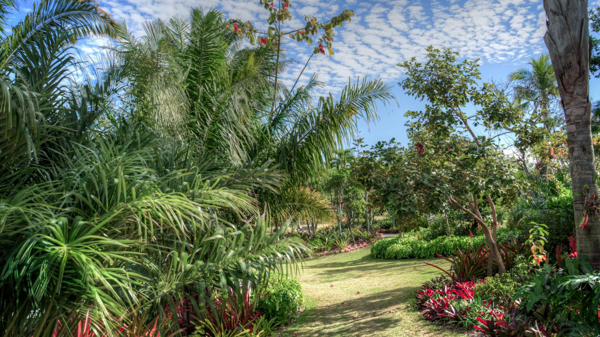 halloween gratis orto botanico napoli