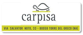 carpisa-pulsante