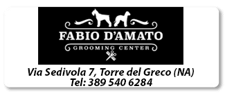 fabio d'amato grooming center-pulsante