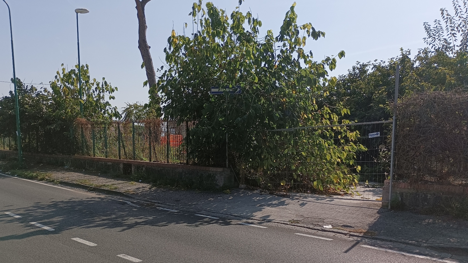 pinetina De Nicola 2