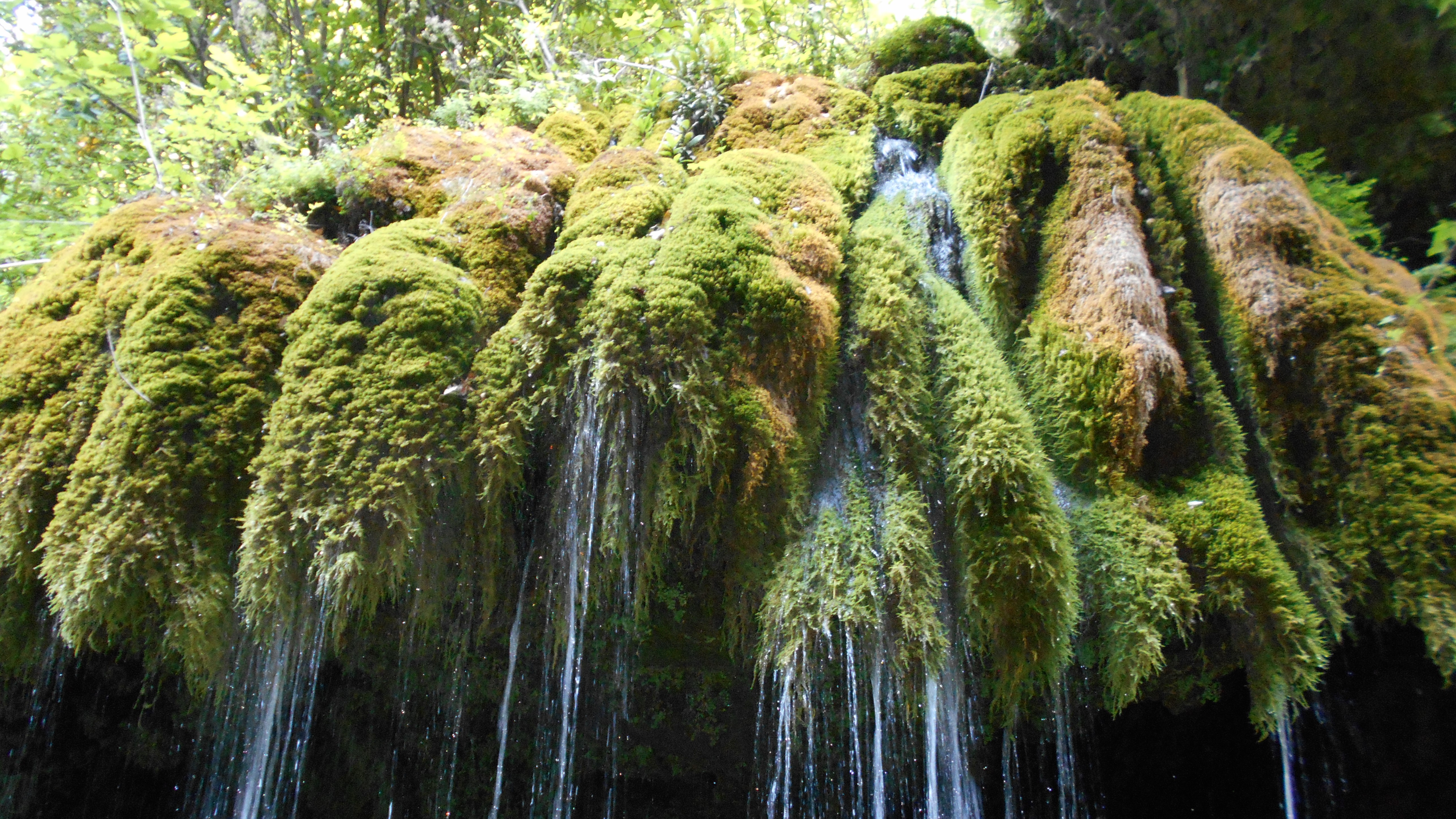 escursioni gratis campania cammini aperti 2024