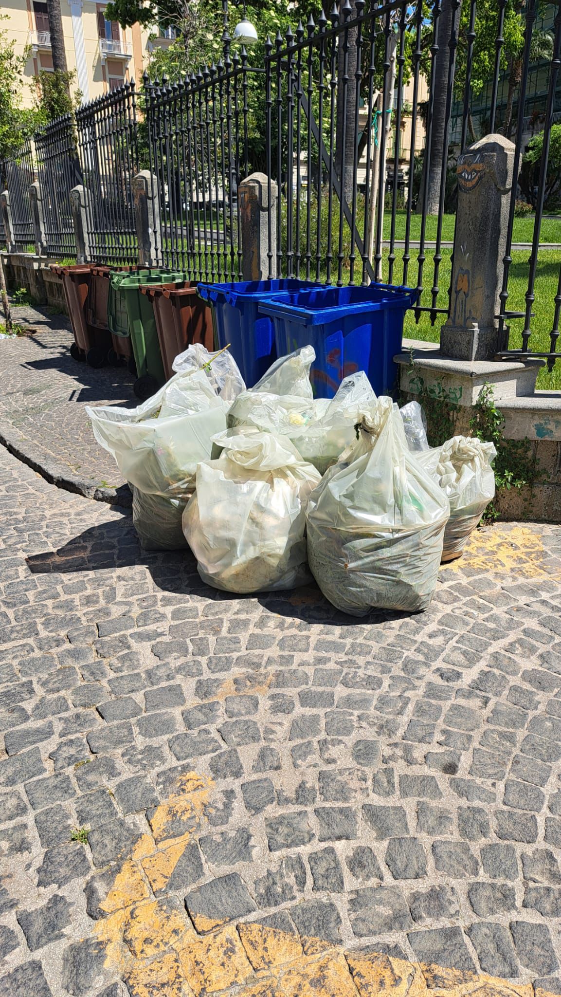 pulizia campetto rifiuti