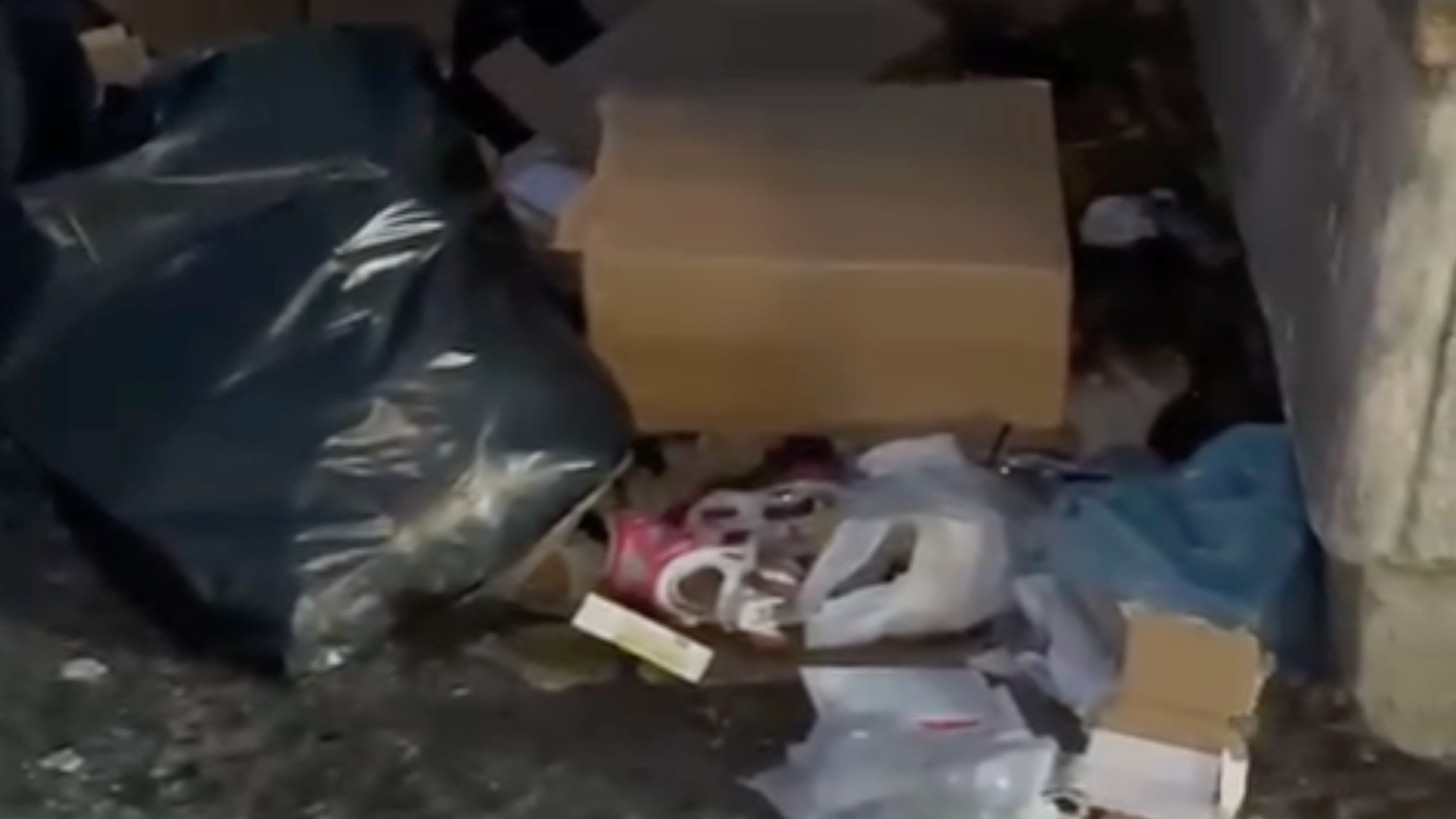 VIDEO/ Porta Capuana invasa dai topi: si aggirano tra il degrado sotto gli occhi dei turisti