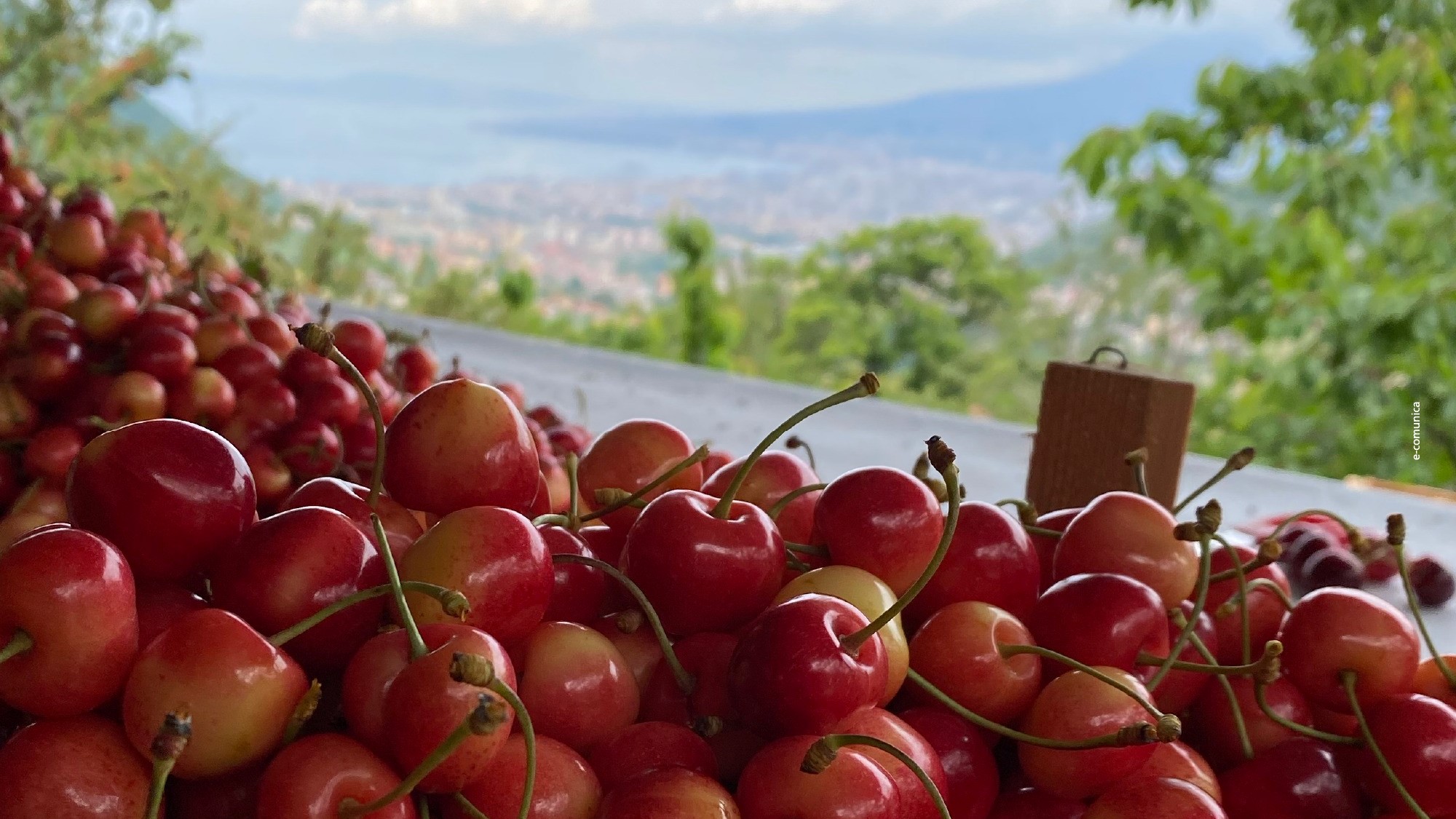 festa ciliegia castello gragnano