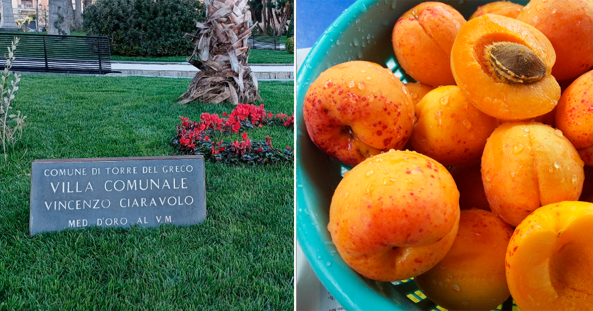 mercatino slow food villa ciaravolo