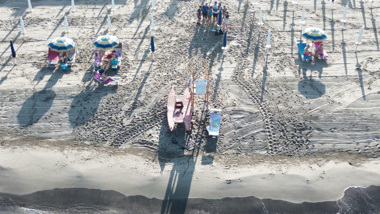 tartarughe spiaggia bacoli