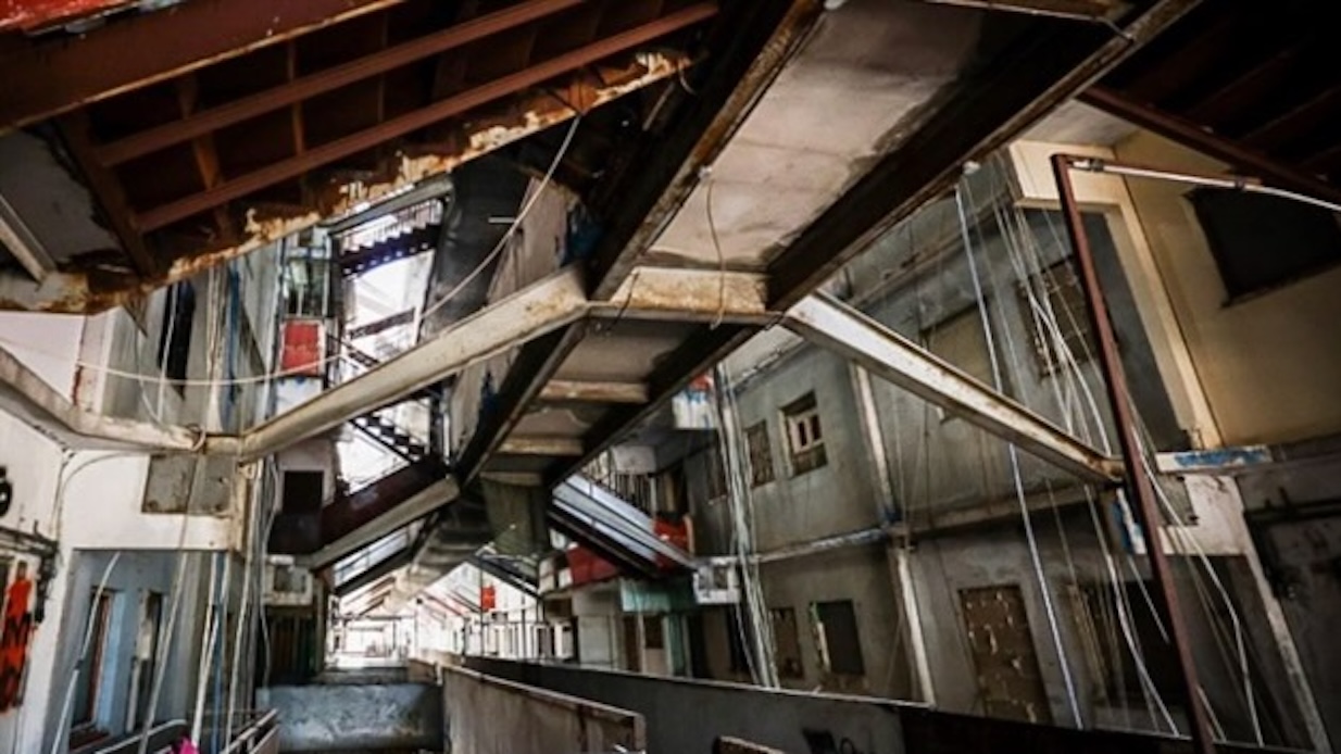 Scampia, scoperta shock nella Vela Celeste: trovato un allevamento di animali esotici