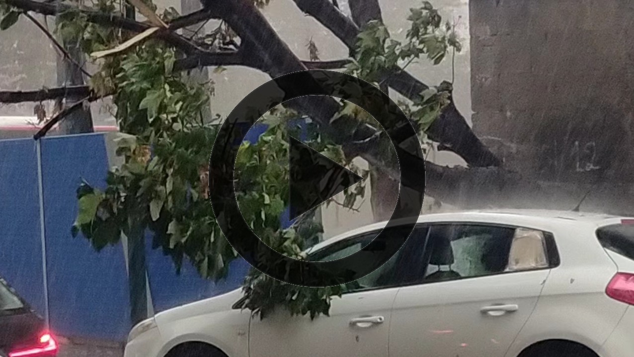 FOTO E VIDEO LIVE/ Improvviso temporale a Napoli, albero si spezza e cade in strada