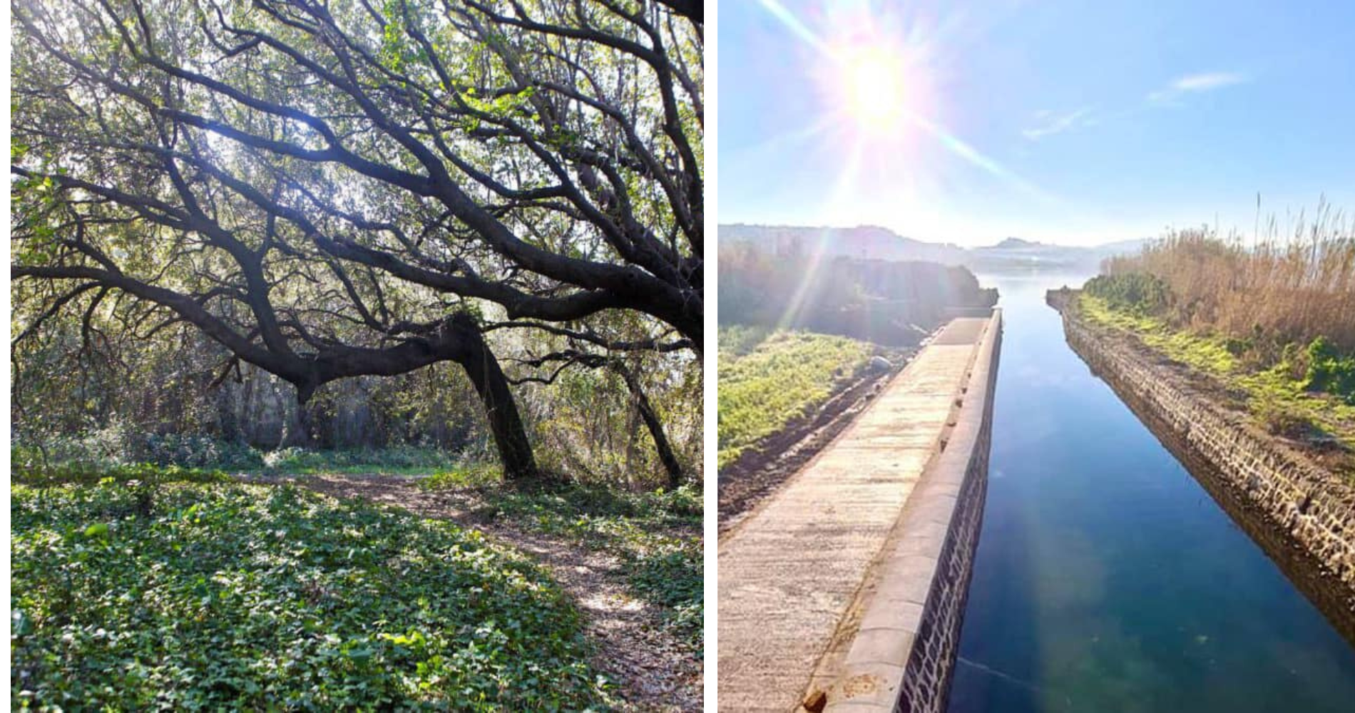 parco lago fusaro bacoli