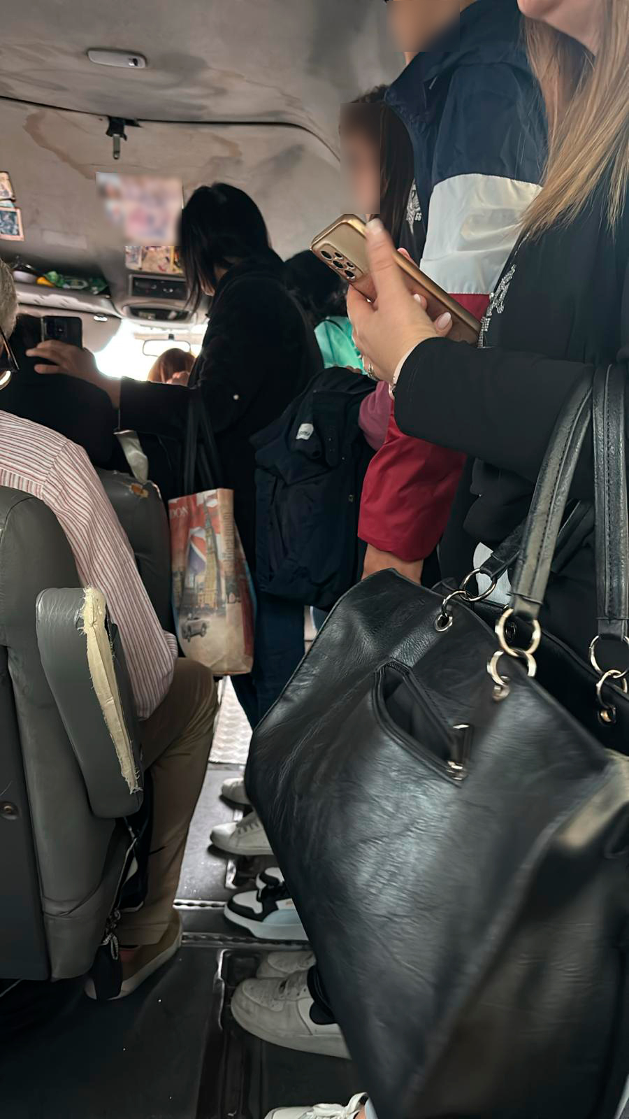 pulmini ottobre 2024 . 2