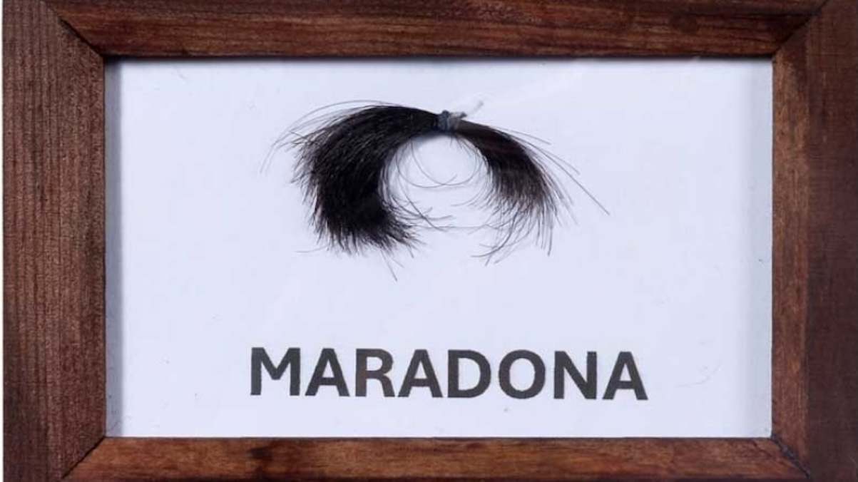 Una ciocca dei capelli di Maradona sarà battuta all'asta a Parigi: la cifra incredibile (Foto dal sito Aguttes)