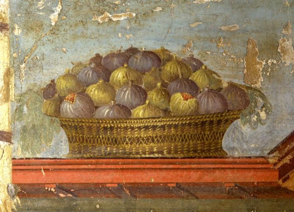 affreschi villa di poppea
