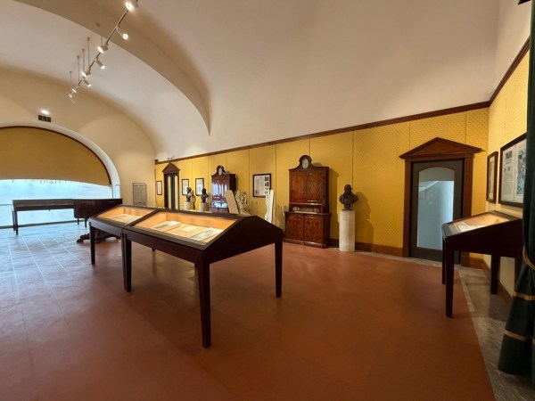 mann numismatica