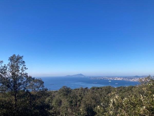 ischia dal vesuvio