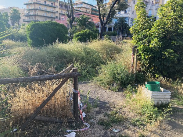 aiuole villa del parnaso torre annunziata