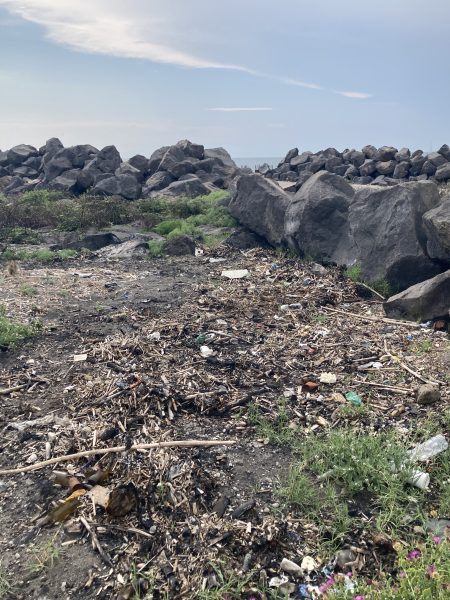 rovigliano rifiuti bruciati sulla spiaggia 