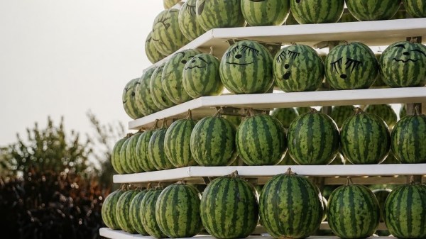 summerween campo cocomeri pignataro