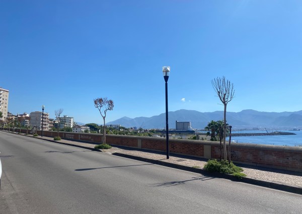 alberi litoranea torre annunziata